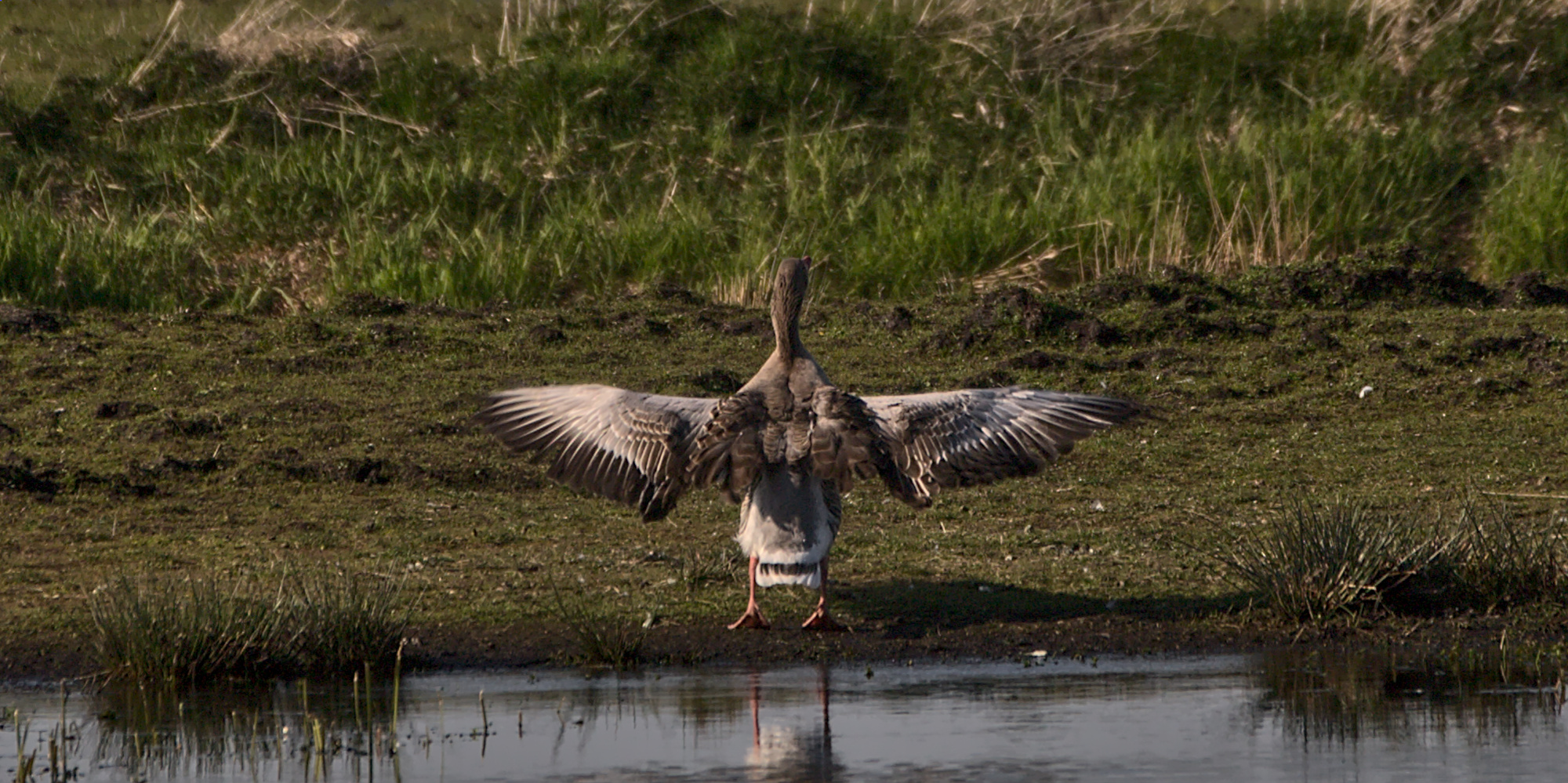 "Du kommst hier nicht durch!"